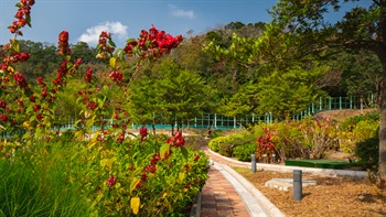 Planting beds with seasonal blossoming plants along the footpath infuses the park with vibrant colours.